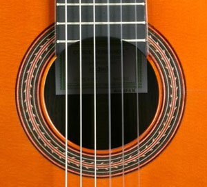 ef5n-3.jpg